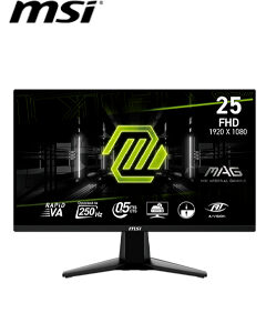 MON 25 MS 255XFV 0.5M FHD 250H