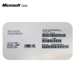 WINDOWS SVR STD 2025 64BIT 1PK