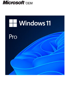WIN 11 PRO 64BIT SPANISH LATAM
