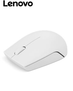 MOUSE LENOVO 300 WIRELESS GREY
