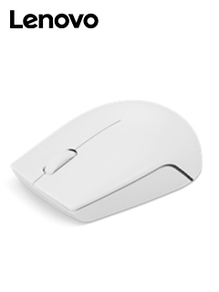 MOUSE LENOVO 300 WIRELESS GREY
