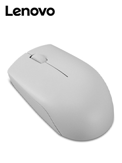 MOUSE LENOVO 300 WIRELES ARTIC