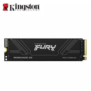 SSD KT FURY RENEG 2TB NVME G5