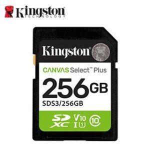 SD KING CANVAS SELECT + 256GB